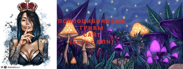 стафф Волоколамск